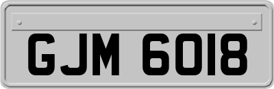 GJM6018