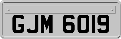 GJM6019