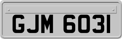GJM6031