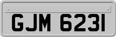 GJM6231
