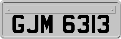 GJM6313