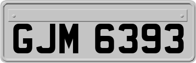 GJM6393