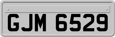 GJM6529