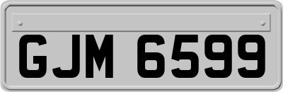 GJM6599