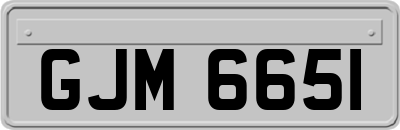 GJM6651
