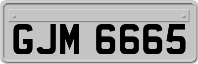 GJM6665