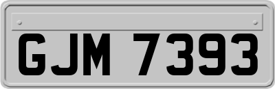 GJM7393