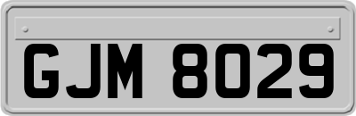 GJM8029