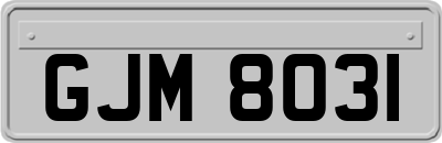 GJM8031