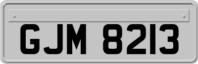 GJM8213