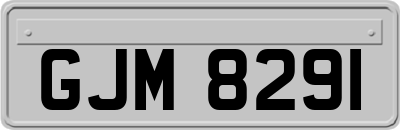 GJM8291