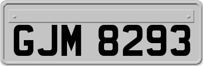 GJM8293
