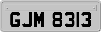 GJM8313
