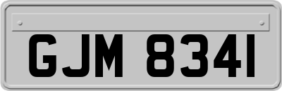 GJM8341