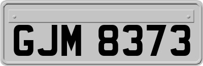 GJM8373