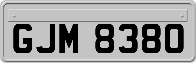 GJM8380