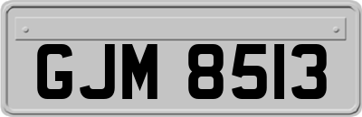 GJM8513
