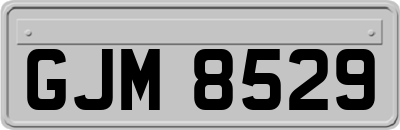 GJM8529