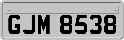 GJM8538