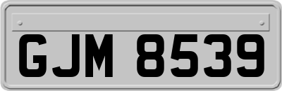GJM8539