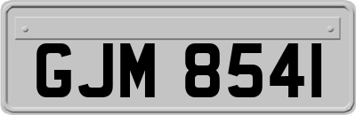 GJM8541