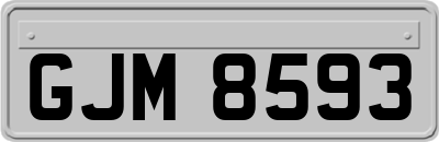 GJM8593