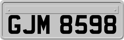 GJM8598