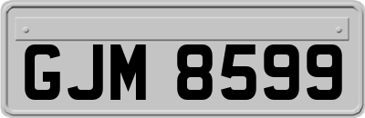 GJM8599