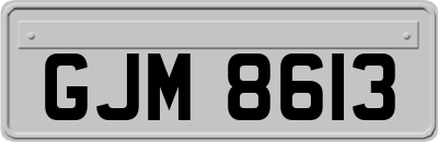GJM8613