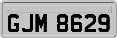 GJM8629