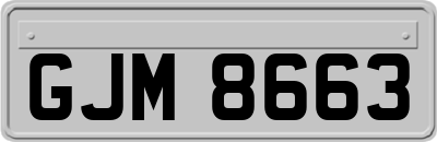 GJM8663