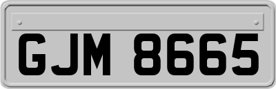 GJM8665
