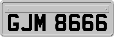 GJM8666