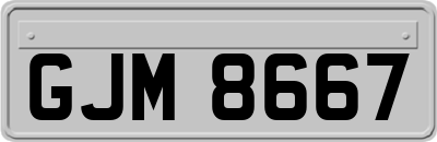 GJM8667