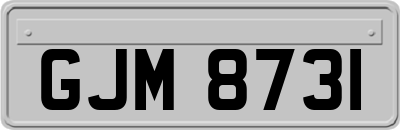 GJM8731