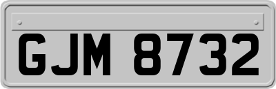 GJM8732