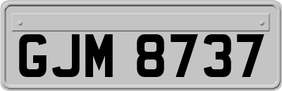 GJM8737