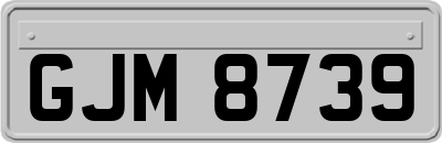 GJM8739