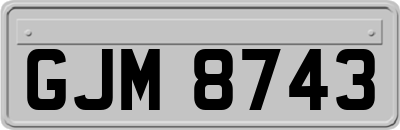 GJM8743