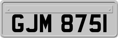 GJM8751