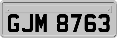 GJM8763