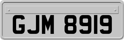 GJM8919