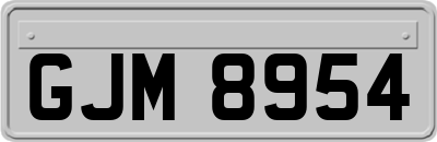 GJM8954