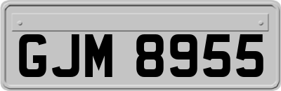 GJM8955