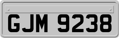 GJM9238