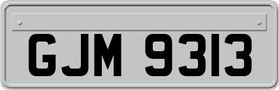 GJM9313