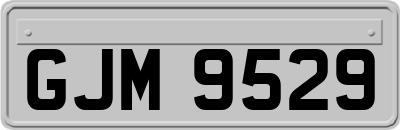 GJM9529