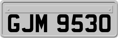 GJM9530