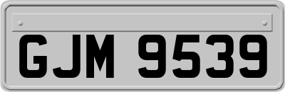 GJM9539