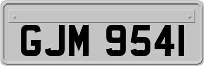 GJM9541